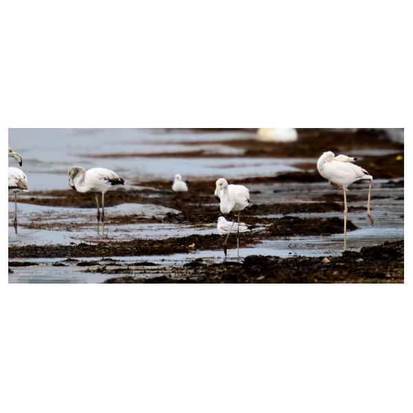 PHOTO84, CLUB, 84 , LUBERON